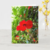 Carte de vœux avec couverture de fleur rouge (Fleur jaune)