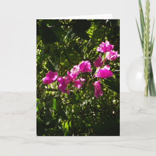 Carte de vœux avec couverture florale rose (Devant)