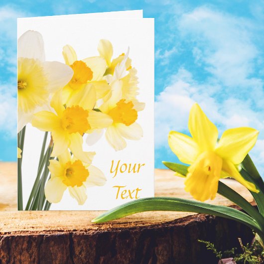 Carte de vœux avec de belles jonquilles