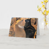 Carte de voeux avec des chats, conception grecque, (Fleur jaune)