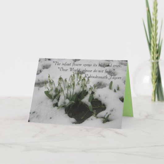 Carte de voeux avec devis réfléchi (Devant)