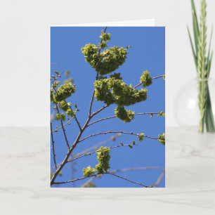Carte de vœux avec feuilles d'arbre en forme de cœ