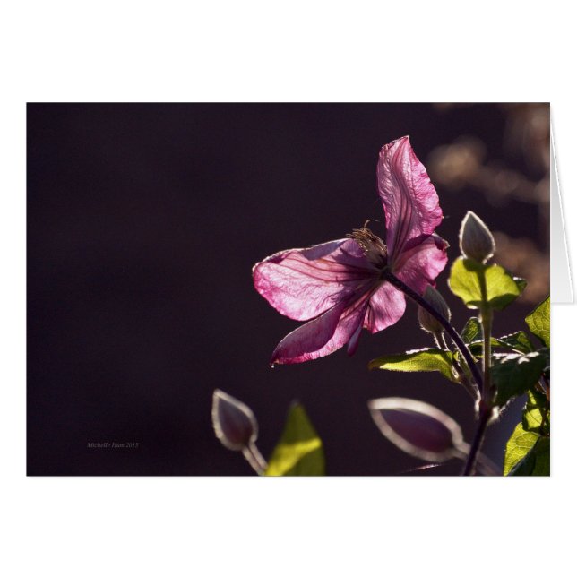 Carte De Voeux Avec Fleur (Devant horizontal)