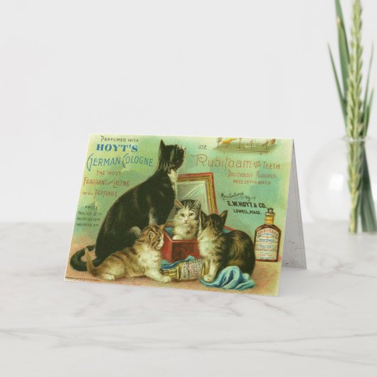 Carte de voeux avec illustration Vintage de chaton (Devant)