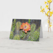 Carte de voeux avec la fleur orange de cactus (Fleur jaune)