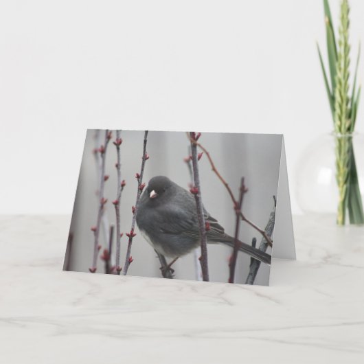 Carte de vœux avec oiseau dans un arbre (Devant)