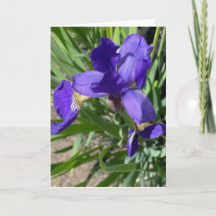 Carte de vœux avec photo de fleur d'iris pourpre