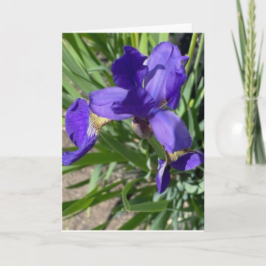 Carte de vœux avec photo de fleur d'iris pourpre (Devant)