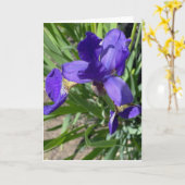 Carte de vœux avec photo de fleur d'iris pourpre (Fleur jaune)