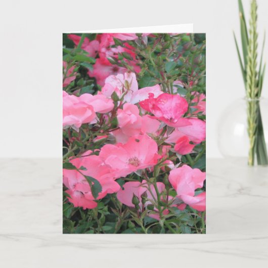 Carte de voeux avec roses roses (Devant)
