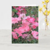 Carte de voeux avec roses roses (Fleur jaune)