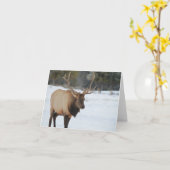 Carte De Voeux Avec Un Elk (Fleur jaune)