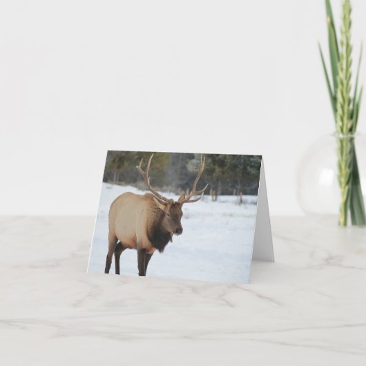 Carte De Voeux Avec Un Elk (Devant)