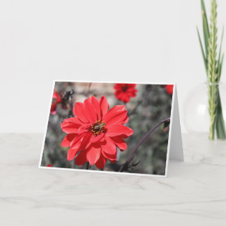 Carte de voeux avec une abeille sur une fleur roug