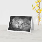 Carte de voeux - B&W Kitty (Fleur jaune)