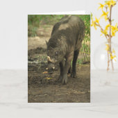 Carte de voeux Babirusa (Fleur jaune)