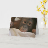 Carte de voeux Baby Chimp (Fleur jaune)