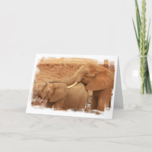 Carte de voeux Baby Elephant