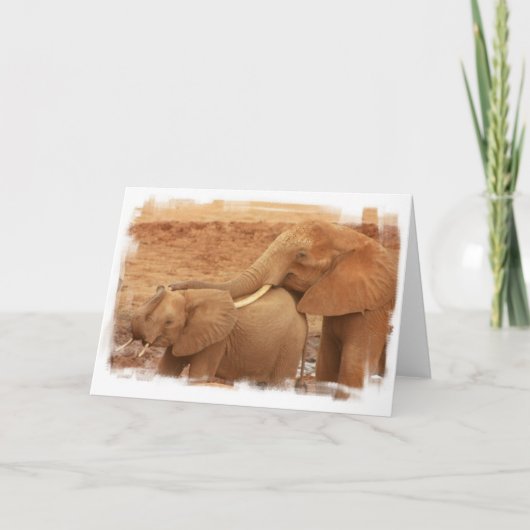 Carte de voeux Baby Elephant (Devant)