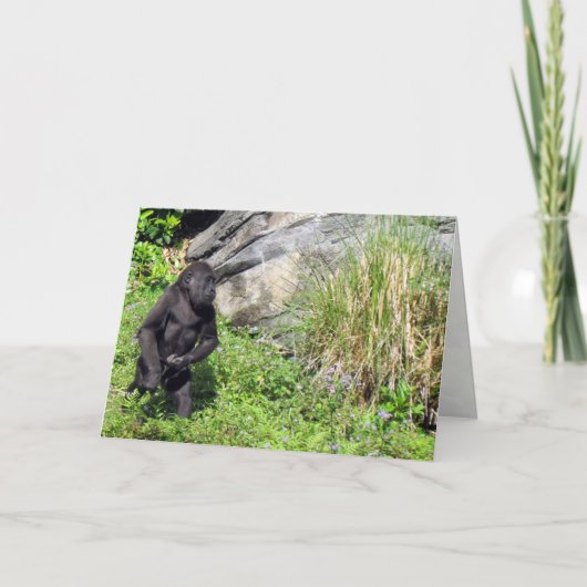 Carte de voeux Baby Gorilla (Devant)