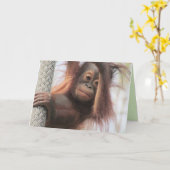 Carte de voeux Baby Orangutan (Fleur jaune)