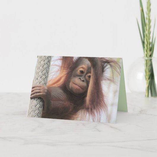 Carte de voeux Baby Orangutan (Devant)