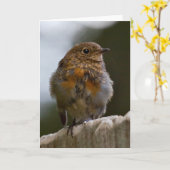 Carte de voeux Baby Robin (Fleur jaune)