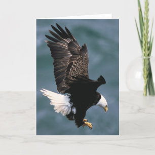 Carte de voeux Bald Eagle