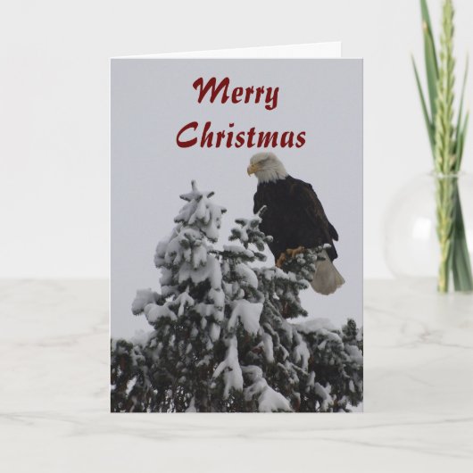 Carte de voeux Bald Eagle (Devant)