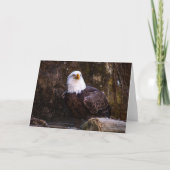 Carte de voeux Bald Eagle (Devant)