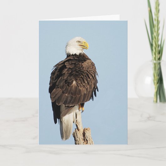 Carte de voeux Bald Eagle assis (Devant)