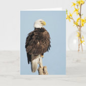 Carte de voeux Bald Eagle assis (Fleur jaune)