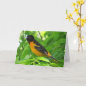 Carte de voeux Baltimore Oriole (Fleur jaune)