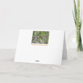 Carte de voeux Baltimore Oriole (Dos)