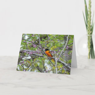 Carte de voeux Baltimore Oriole