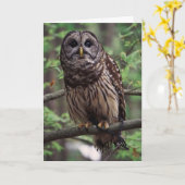 Carte de voeux Barred Owl (Fleur jaune)