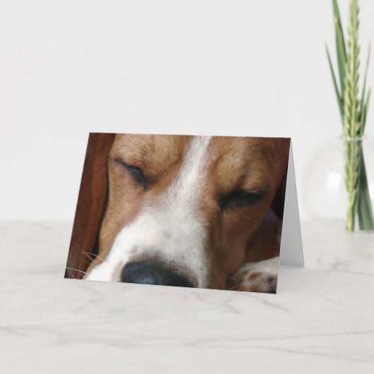 Carte de voeux Beagle dormant (Devant)