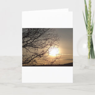 Carte de voeux beau coucher de soleil avec des bra