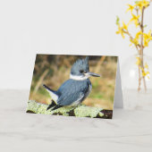 Carte de voeux Belted Kingfisher (Fleur jaune)