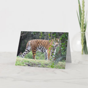 Carte de voeux Bengal Tiger