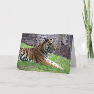 Carte de voeux Bengal Tiger