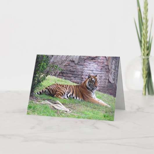 Carte de voeux Bengal Tiger (Devant)