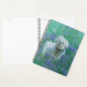 Carte de vœux Bichon dans des Bluebonnets (Devant avec enveloppe)