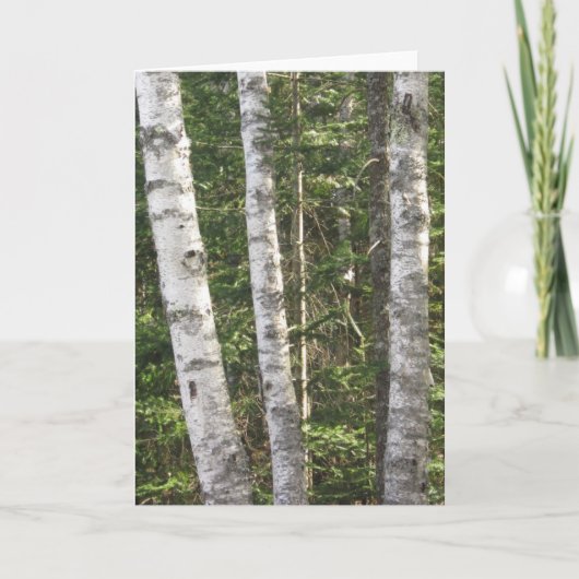 Carte de voeux Birch Tree (Devant)