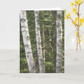 Carte de voeux Birch Tree (Fleur jaune)