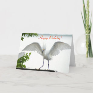Carte de voeux Bird Happy Birthday Sister