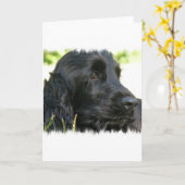 Carte de voeux Black Cocker Spaniel Dog (Fleur jaune)