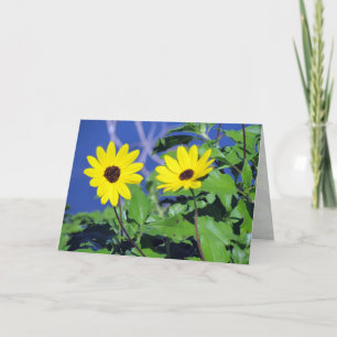Carte de voeux Black Eyed Susan
