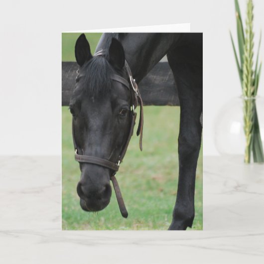 Carte de voeux Black Horse (Devant)
