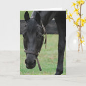 Carte de voeux Black Horse (Fleur jaune)